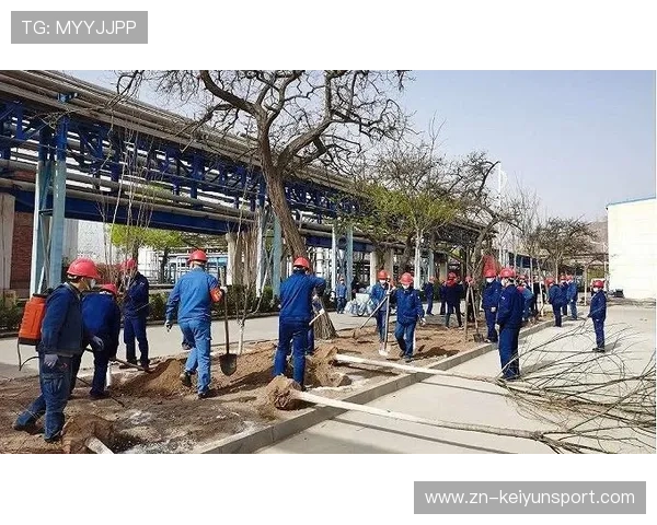 体育赛事碳中和：办一场比赛要种多少树？，办一场比赛花多少钱