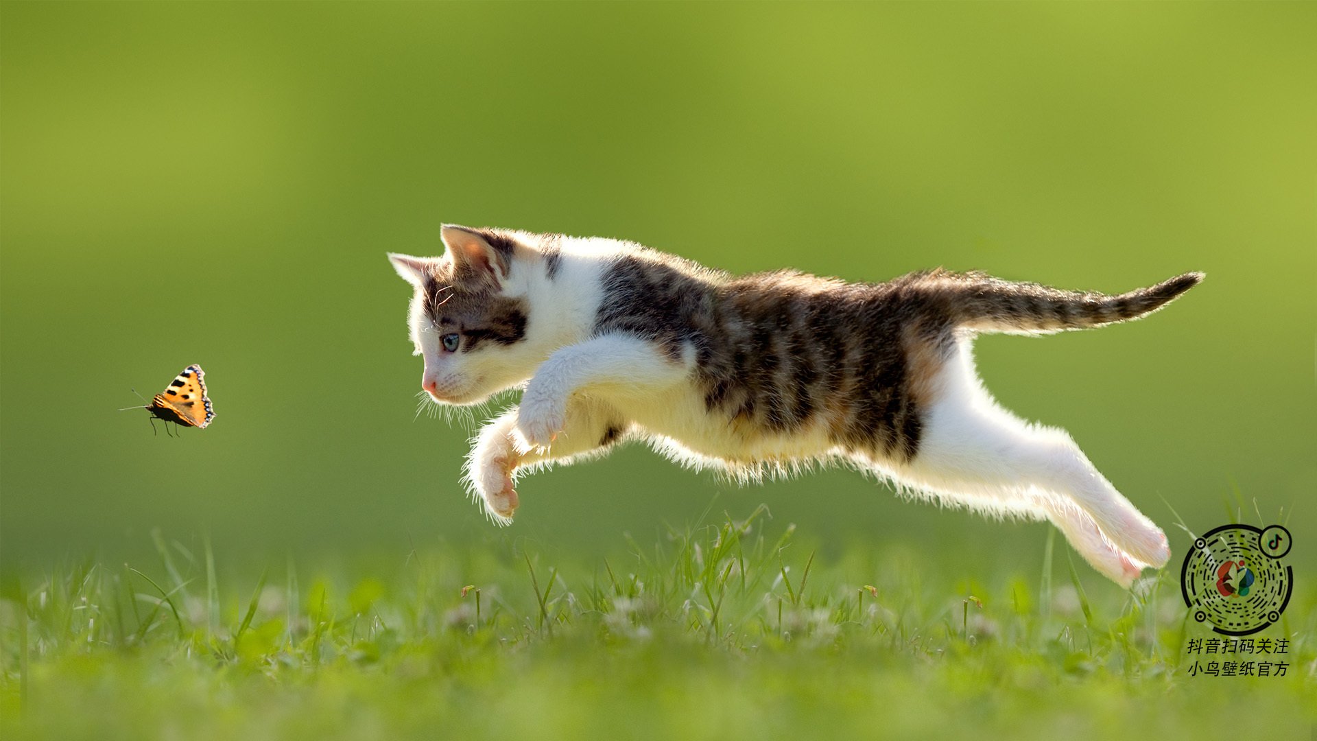 中乙球队试行季度小目标积分系统激发团队成长,中乙积分2021