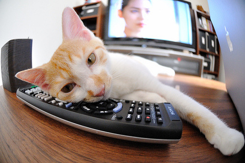 荷兰队继续强势，晋级形势一片大好