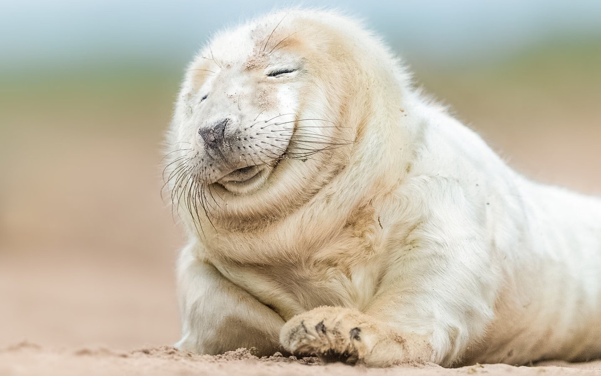 赛场禁烟令严格执行，观众文明看球氛围提升，禁烟竞赛