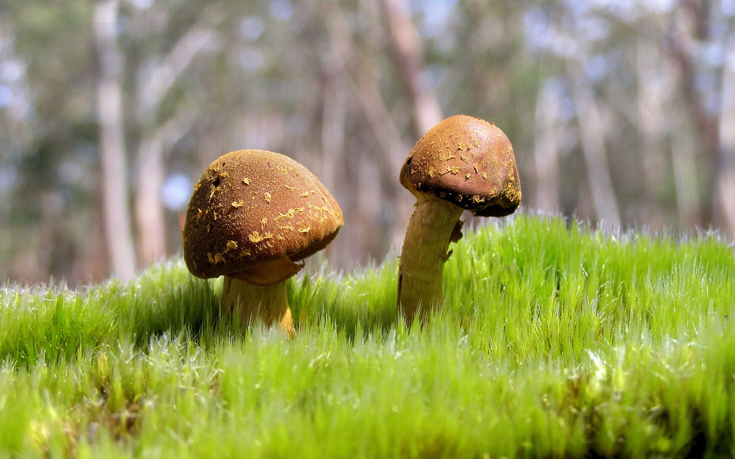 Guglielmino 榜样作用助年轻球员成长